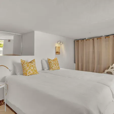 Ap419 - Chumbera Nerja