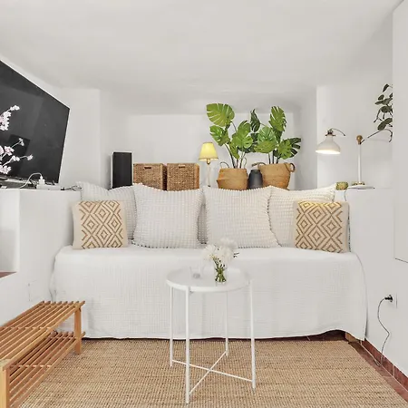 Ap419 - Chumbera Villa Nerja